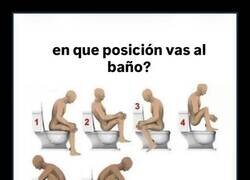 Enlace a ¿En qué posición vas al baño?