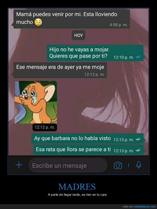 whatsapp,familia,lluvia,mensajes,Jerry