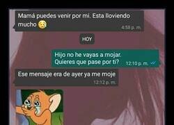 Enlace a Mamá contestando WhatsApp con la misma velocidad que la luz llega del sol