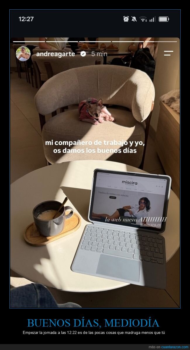 influencer,trabajo,perro,cafe,rutina