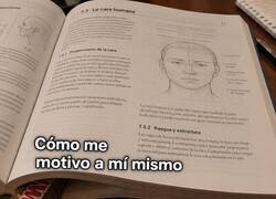 Enlace a Educación financiera: invertir en Oreos en vez de en tu futuro
