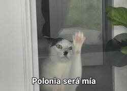 Enlace a Cuando tienes el poder pero no las llaves de casa