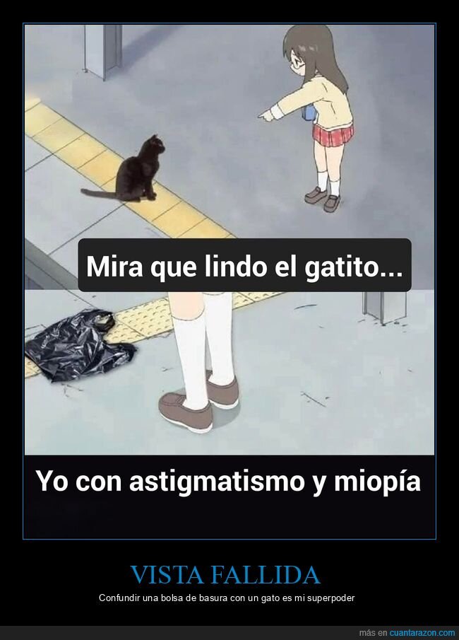 astigmatismo,miop&iacute;a,gato,confusi&oacute;n,anime