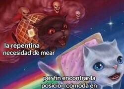 Enlace a Cuando el universo conspira contra tu vejiga a las 4 AM