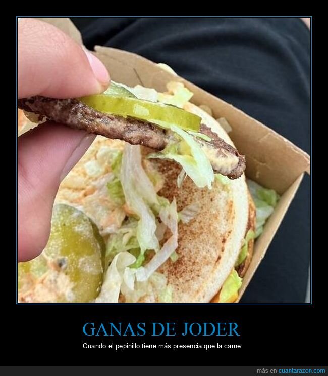 McDonalds,hamburguesa,pepinillo,comida,decepci&oacute;n