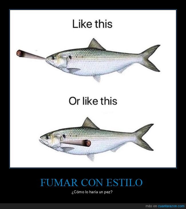 pez,cigarro,fumar,elecci&oacute;n,absurdo