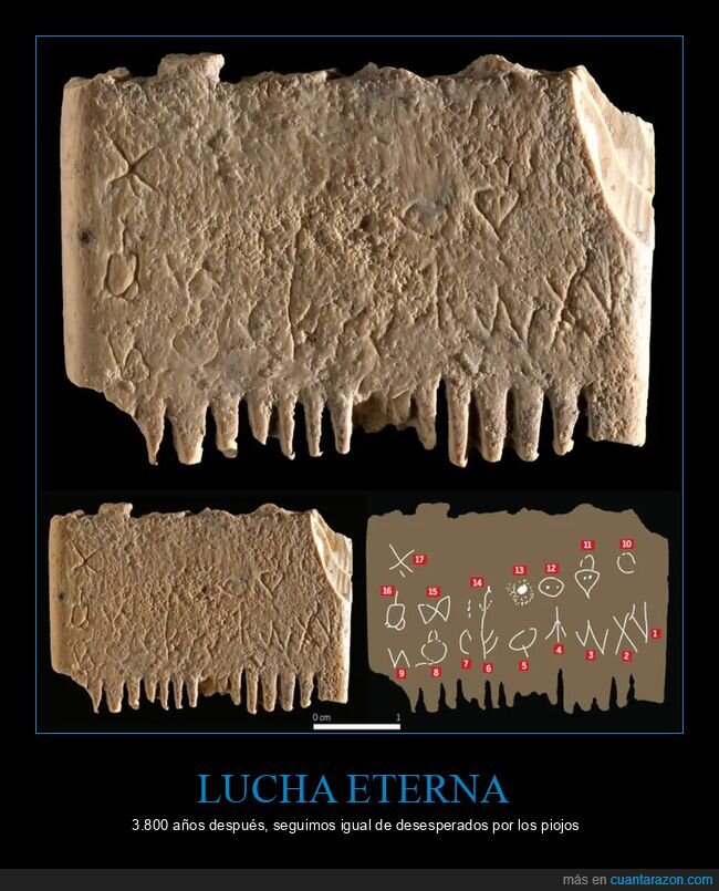peine,piojos,historia,arqueolog&iacute;a,Cana&aacute;n