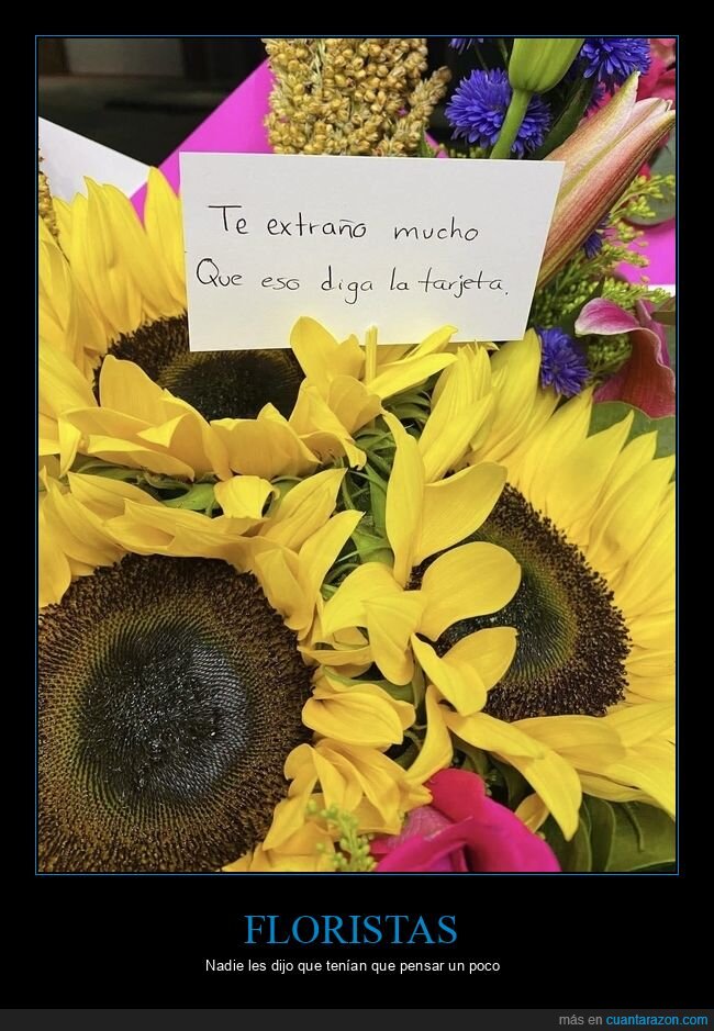 flores,tarjeta,sentimientos,distancia,girasoles