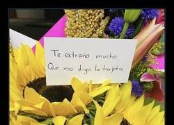 Enlace a El florista tenía el cerebro apagado ese día