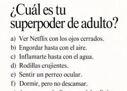 Enlace a Nivel: adulto experto en autodestrucción funcional