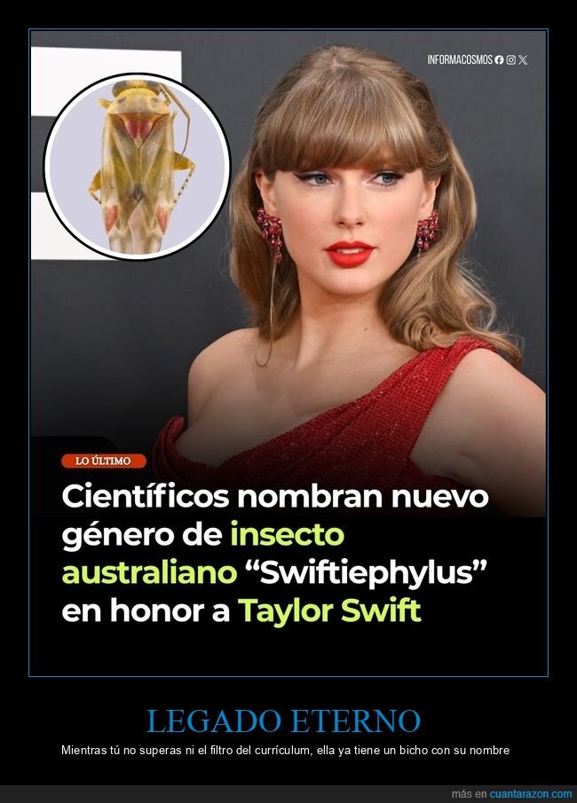 Swiftiephylus,TaylorSwift,entomolog&iacute;a,Australia,homenaje