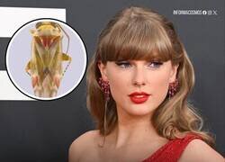 Enlace a Taylor Swift consigue que un insecto tenga más repercusión mediática que tú en toda tu vida