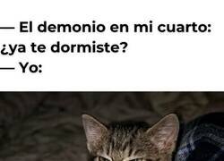 Enlace a Cuando el insomnio tiene cara de gato cabreado