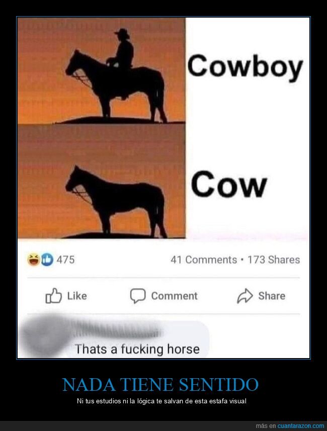 caballo,vaquero,logica,confusion