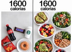 Enlace a 1600 calorías de dopamina barata vs 1600 calorías de fotografía para Instagram