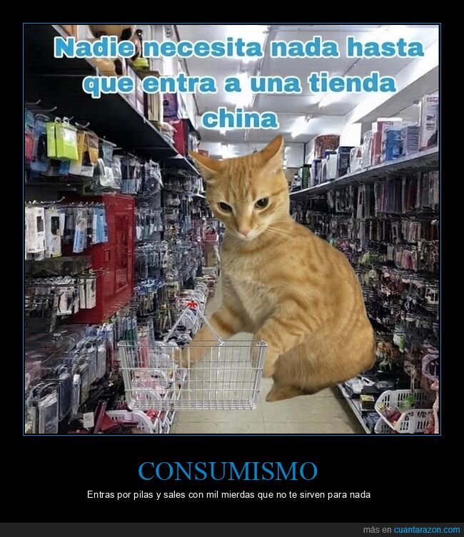 bazar,compras,gato,consumismo,tienda