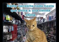 Enlace a Mi cuenta bancaria tiembla cada vez que veo un bazar chino abierto