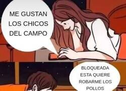 Enlace a Cuando tu paranoia por las gallinas es más fuerte que el amor