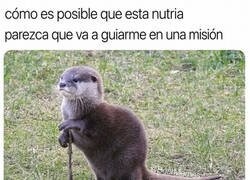 Enlace a Este señor sabe cosas que nosotros no sabremos jamás