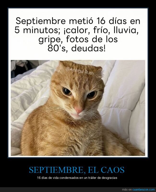 septiembre,gripe,deudas,clima,gato
