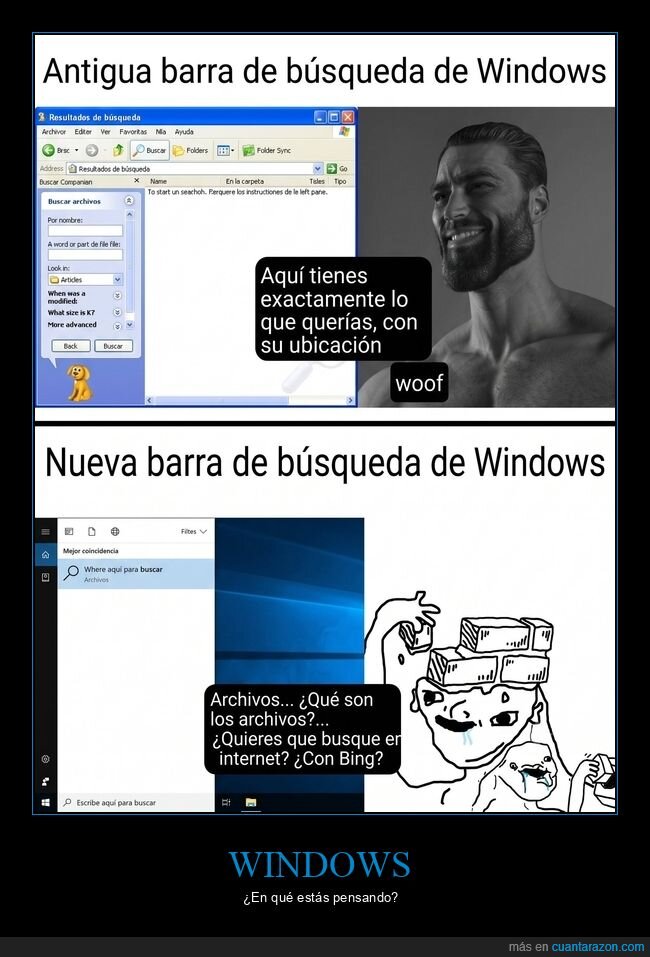 windows,barra,busqueda