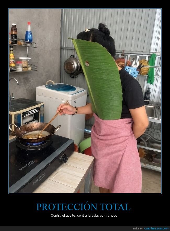 cocina,improvisaci&oacute;n,hoja,sart&eacute;n,protecci&oacute;n