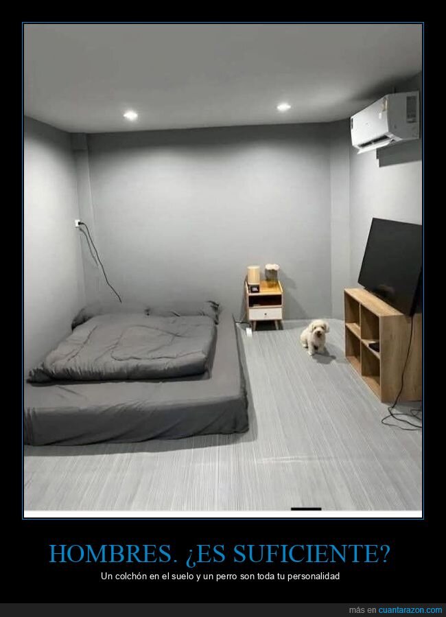 habitaci&oacute;n,colch&oacute;n,perro,solter&iacute;a,minimalismo
