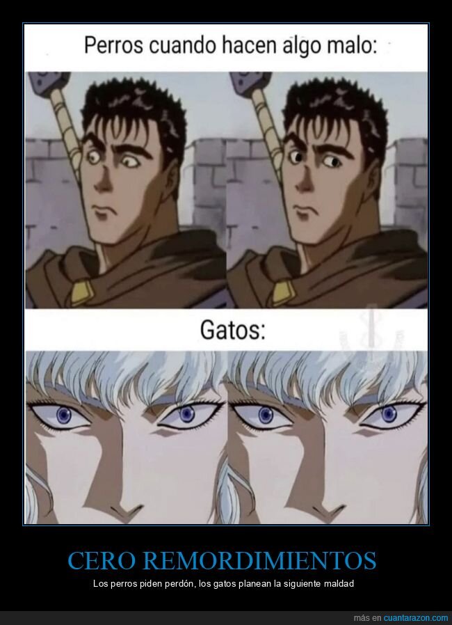 perros,gatos,culpa,mirada,Berserk
