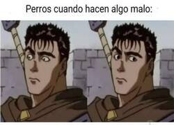 Enlace a La diferencia entre culpa y empoderamiento total
