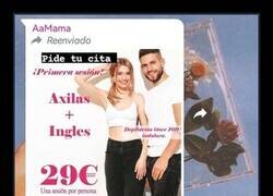 Enlace a Axilas + inglés