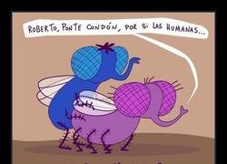 Enlace a Por si los humanos