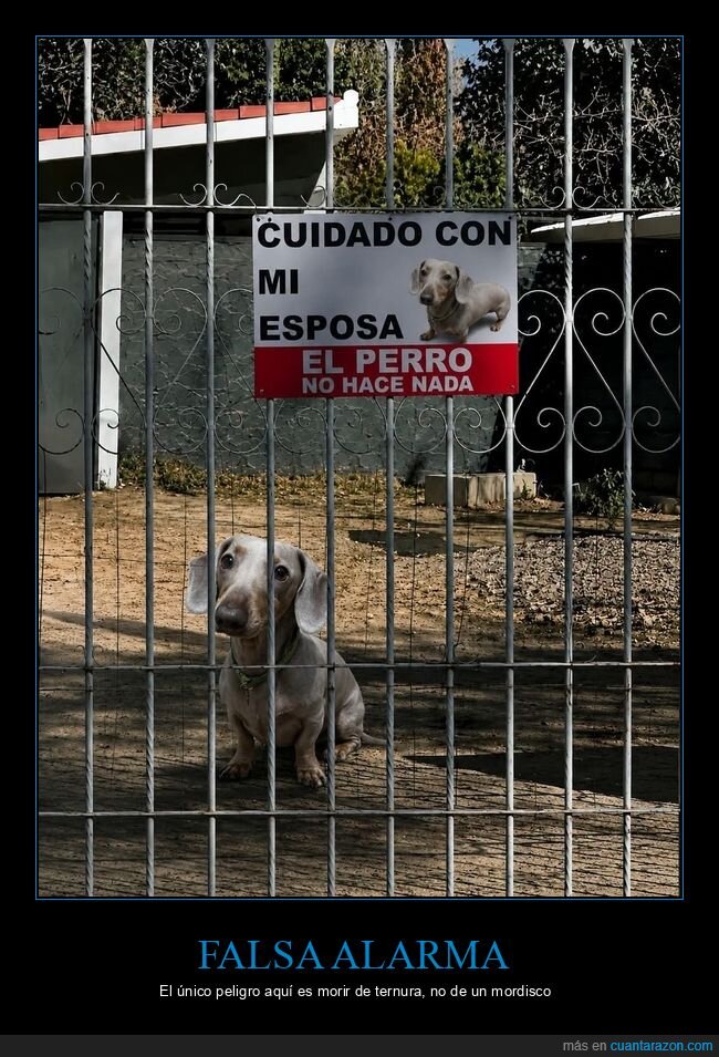 perro,cartel,advertencia,esposa,valla