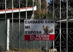 Enlace a El cartel promete guerra y el perro solo pide caricias