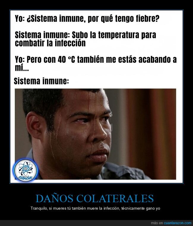 fiebre,infecci&oacute;n,cuerpo,sudor,supervivencia