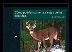Enlace a Vaya forma de pedir recetas