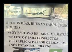 Enlace a El conductor seguro que va con gorrito de plata