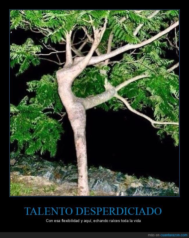 &aacute;rbol,naturaleza,silueta,bailarina,ramas
