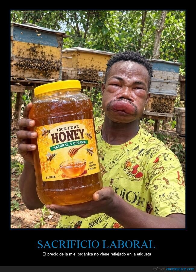 miel,abejas,apicultura,picadura,colmena