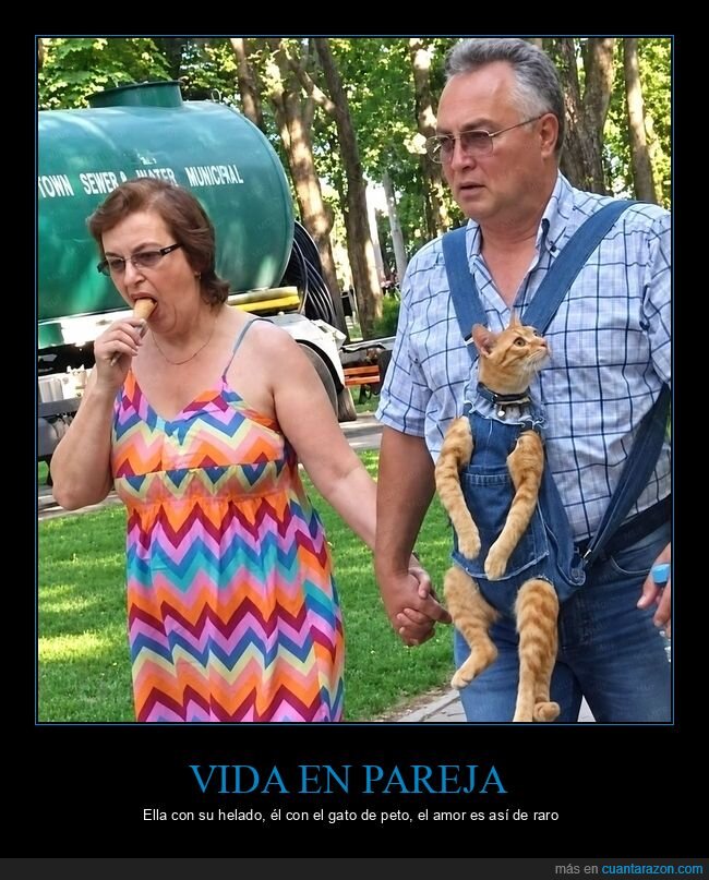 gato,peto,paseo,familia,pareja