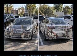 Enlace a Cuando hasta tu coche enseña más que tú en Only fans