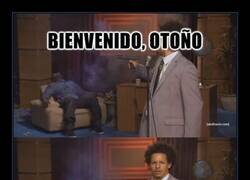 Enlace a El verano parece que no quiere irse