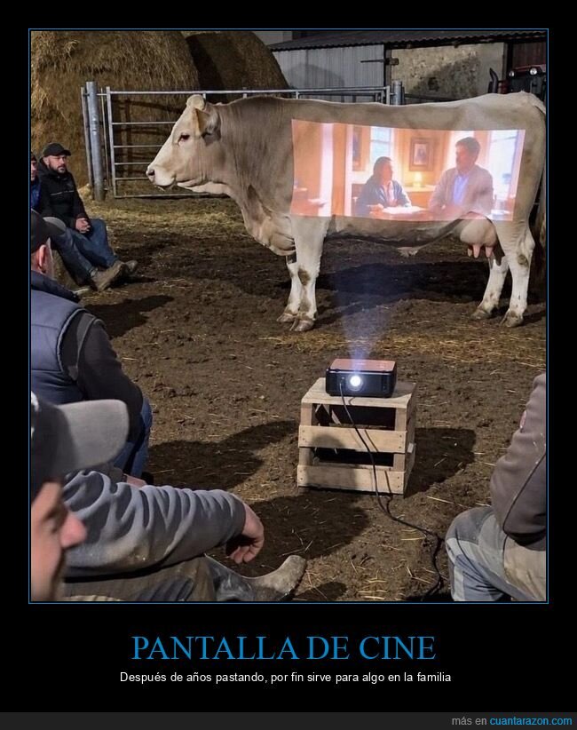 vaca,proyector,cine,pueblo,ingenio