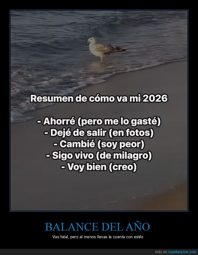 resumen,prop&oacute;sitos,gaviota,fracaso,playa