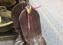 Enlace a Cuando el rodeo se cancela pero ya reservaste la pista de hielo