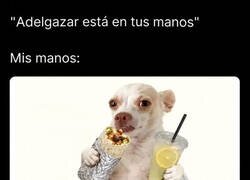 Enlace a Mi fuerza de voluntad pesa menos que el burrito