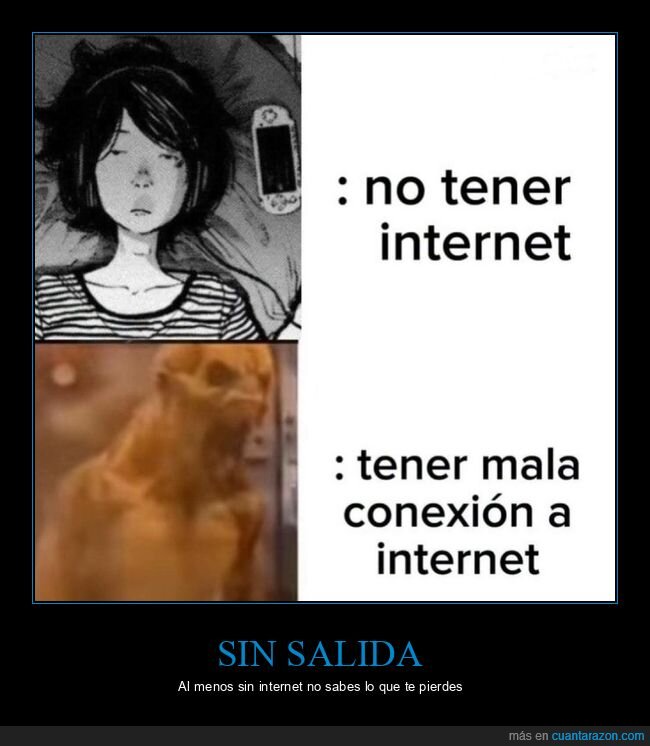 internet,conexi&oacute;n,wifi,desesperaci&oacute;n,tecnolog&iacute;a
