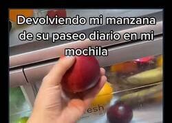 Enlace a Mi manzana tiene más vida social que yo