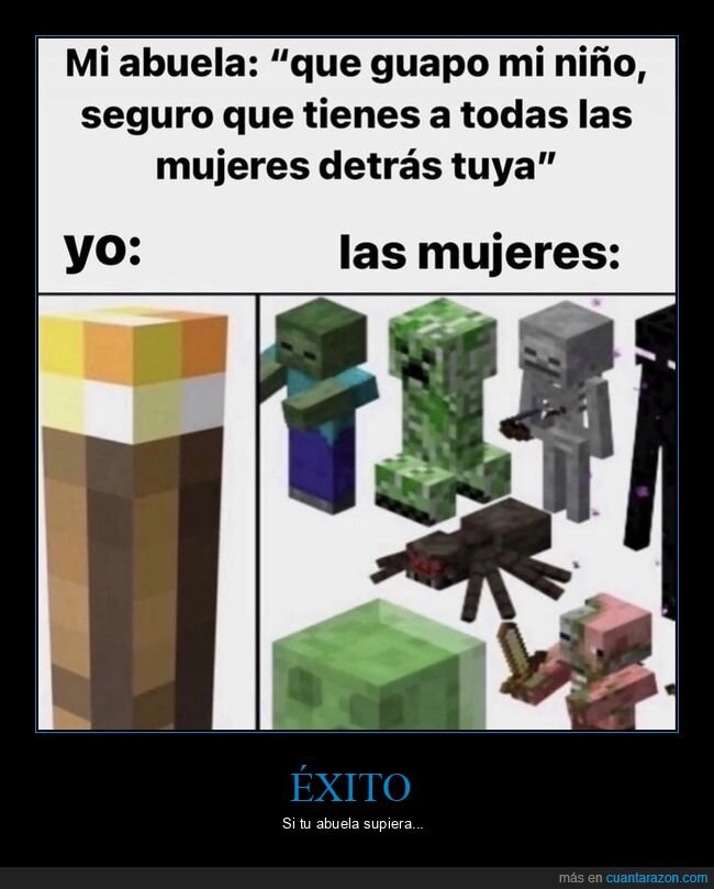 Minecraft,abuela,mobs,solter&iacute;a,videojuegos