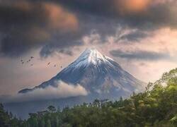 Enlace a Las 20 impresionantes fotografías ganadoras del concurso Internacional al Fotógrafo del Año de Paisajes 2025