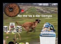Enlace a Yo todos los domingos
